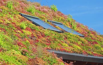 Wilthorpe living roof systems